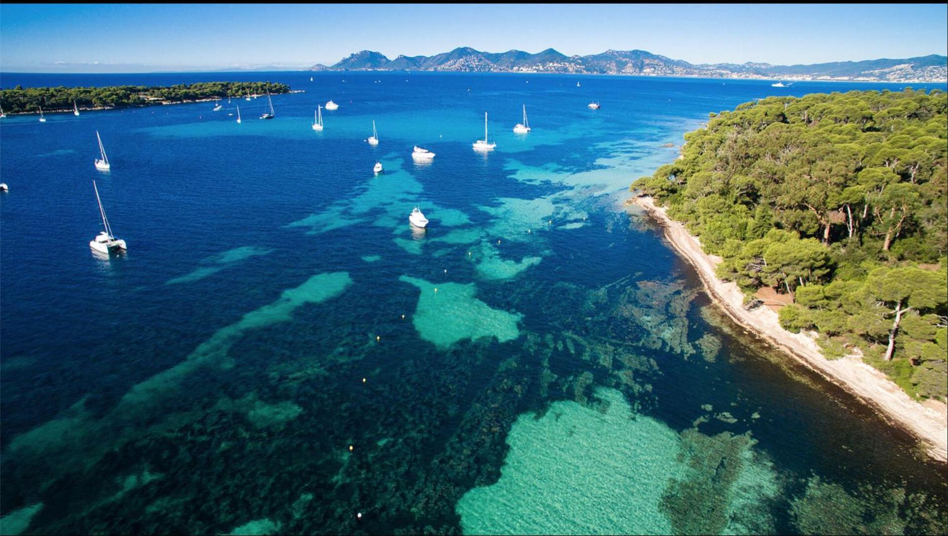 Apartamento Le Bristol Cannes Exterior foto